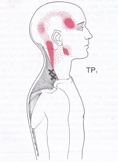 LittleMum Trapezius Trigger Point Massager, Shoulder Myofascial Red